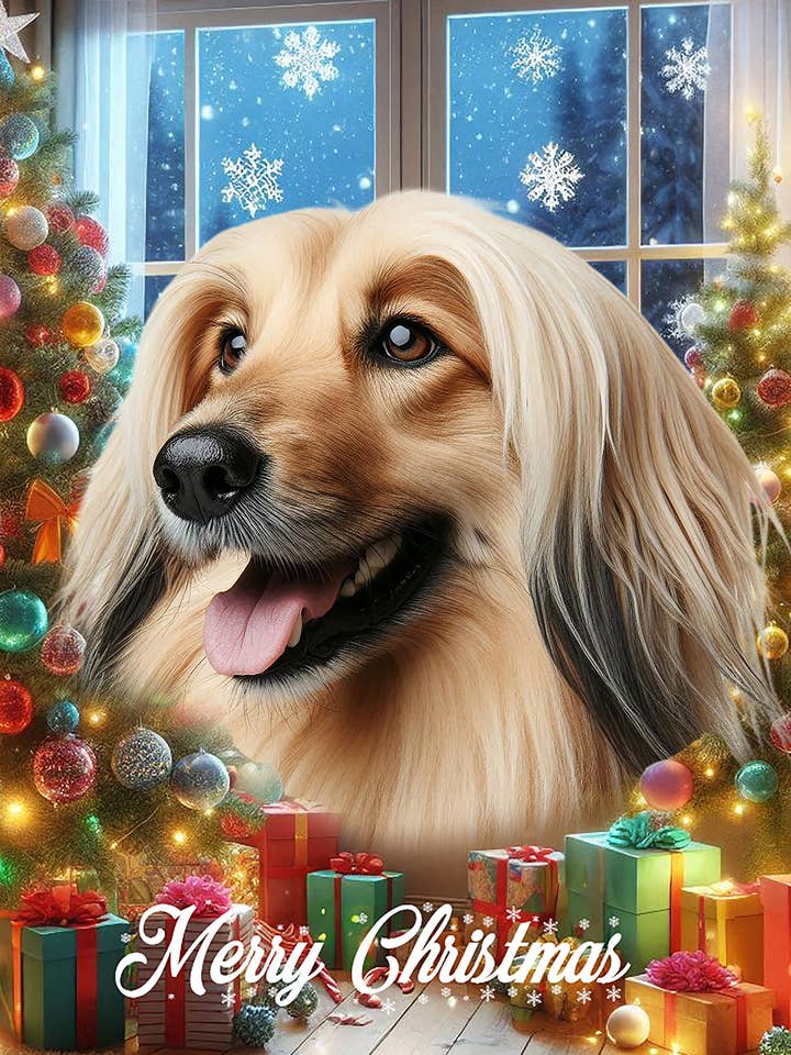 Afghanistan - Drapeau de la maison de Noël pour la vente par Best of Breed Products