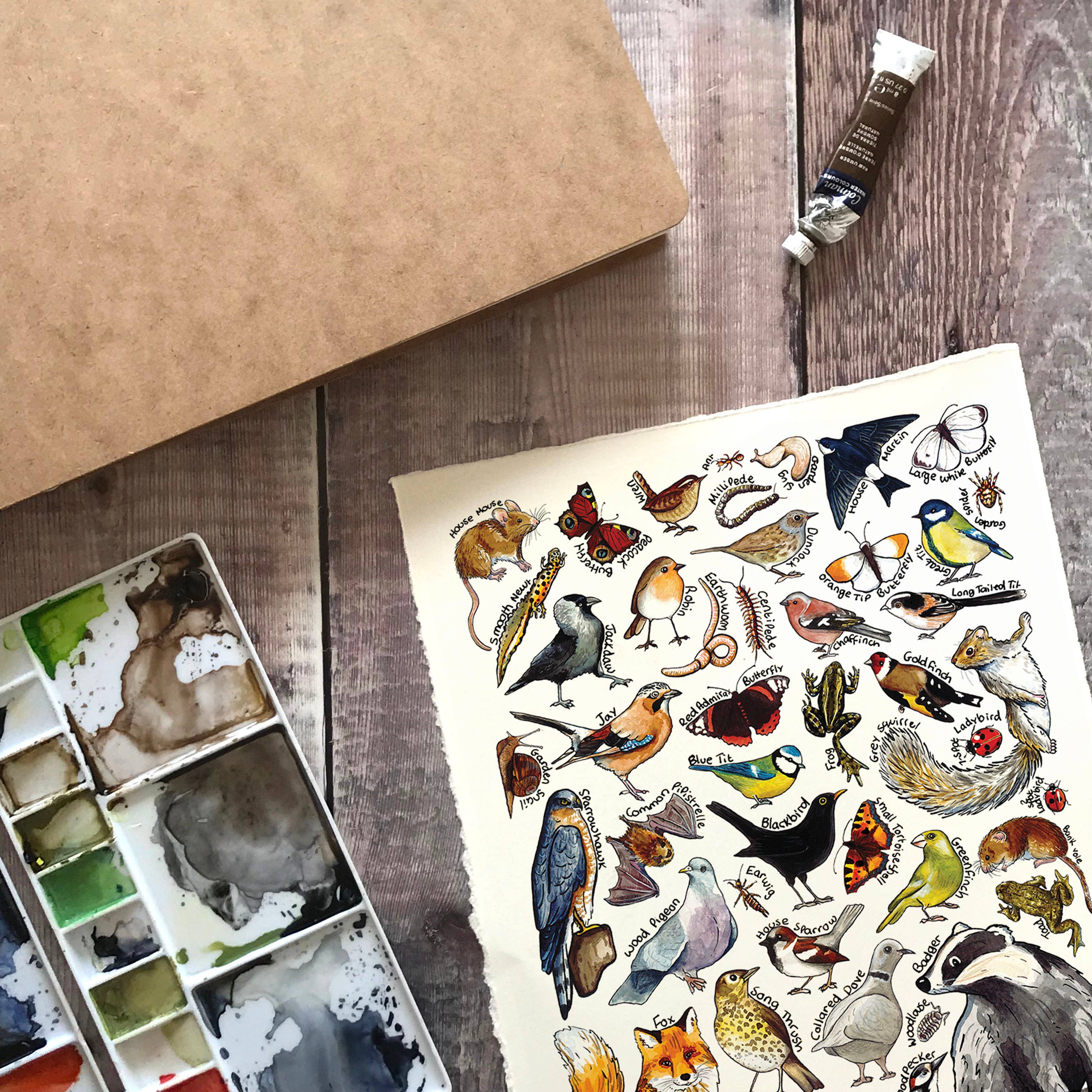 Alexia Claire Ltd - Wholesale Postcard - Garden Wildlife of Britain Art Blank Postcard1