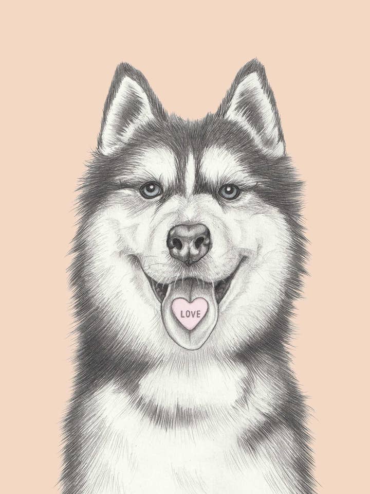 Husky por atacado de I AM NIEN