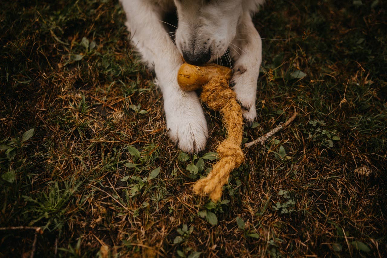 CANOPHERA GmbH – Corda - Cão por atacado – COCOBALL. Mordedor para cães feito de corda de coco7