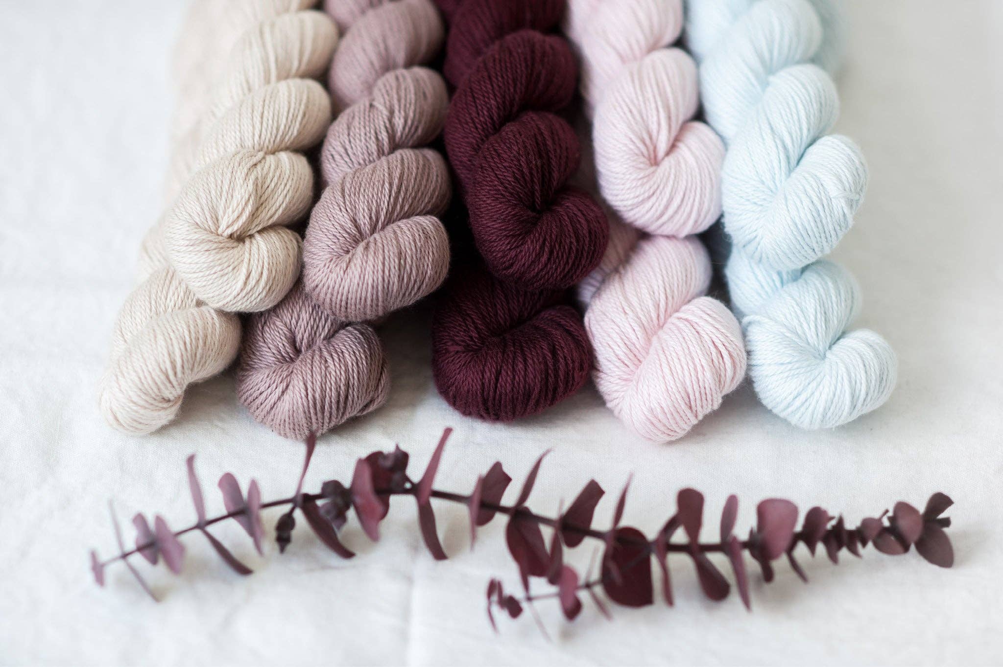 Quince & Co. - Wholesale Yarn - Willet48