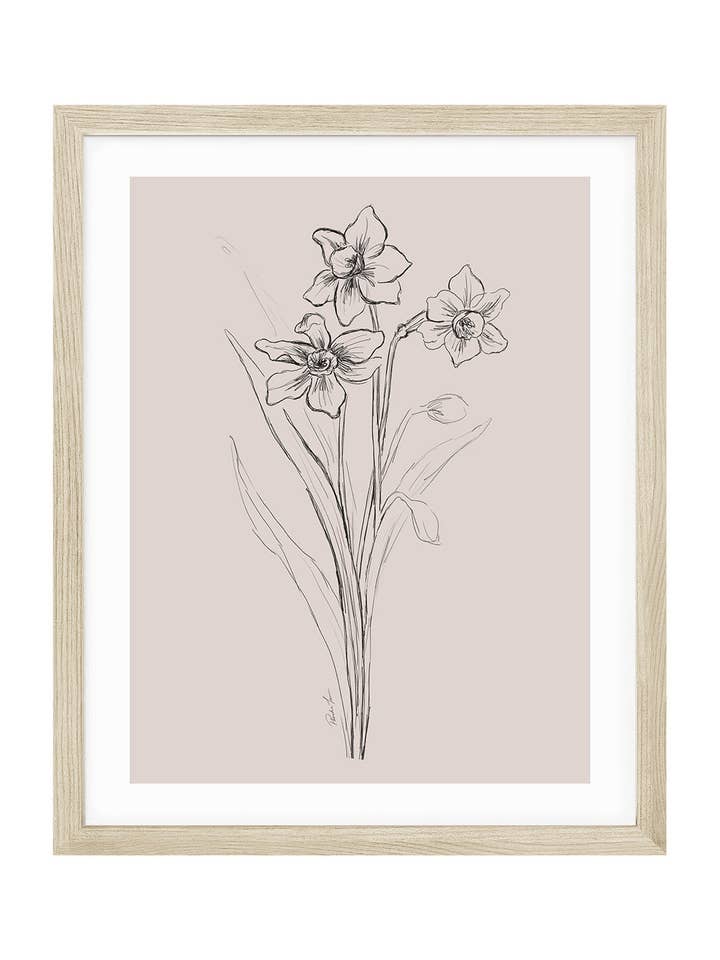 Narcissus, December Birth Flower for wholesale by Love by Phoebe