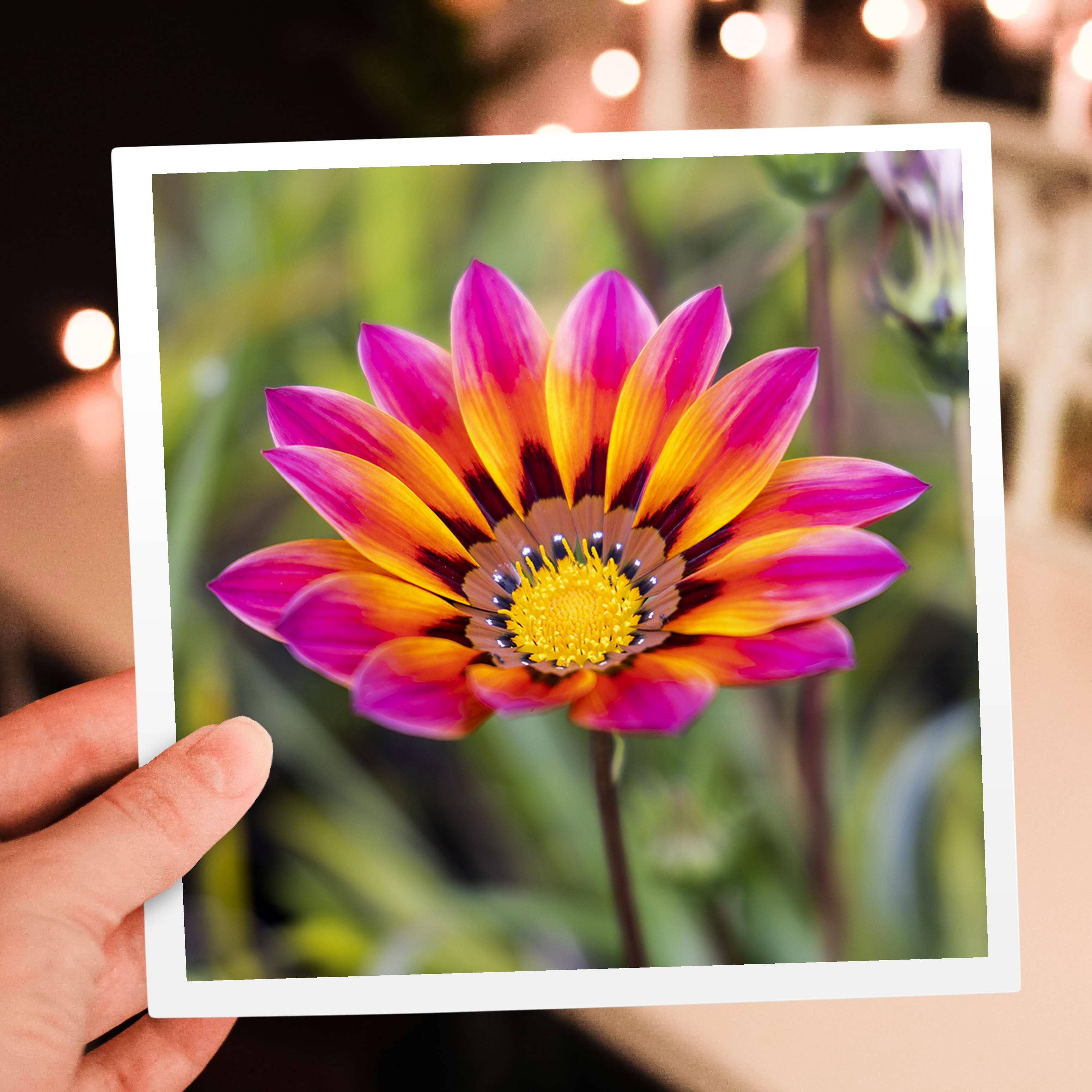 3dRose - Wholesale Everyday Greeting Card - 3dRose, Portugal, Calvaria de Cima. Wildflowers growing., Greeting Card5