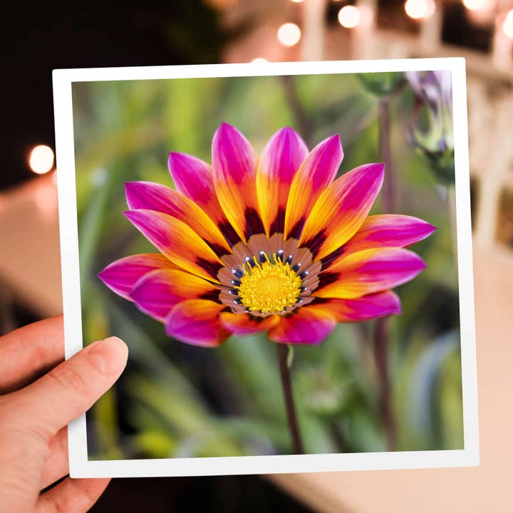 3dRose - Wholesale Everyday Greeting Card - 3dRose, Portugal, Calvaria de Cima. Wildflowers growing., Greeting Card5