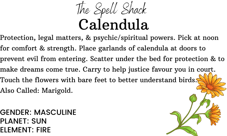 Witchuals - Rituals & Spellwork Apothecary - Wholesale Meditation Supplies - Calendula3