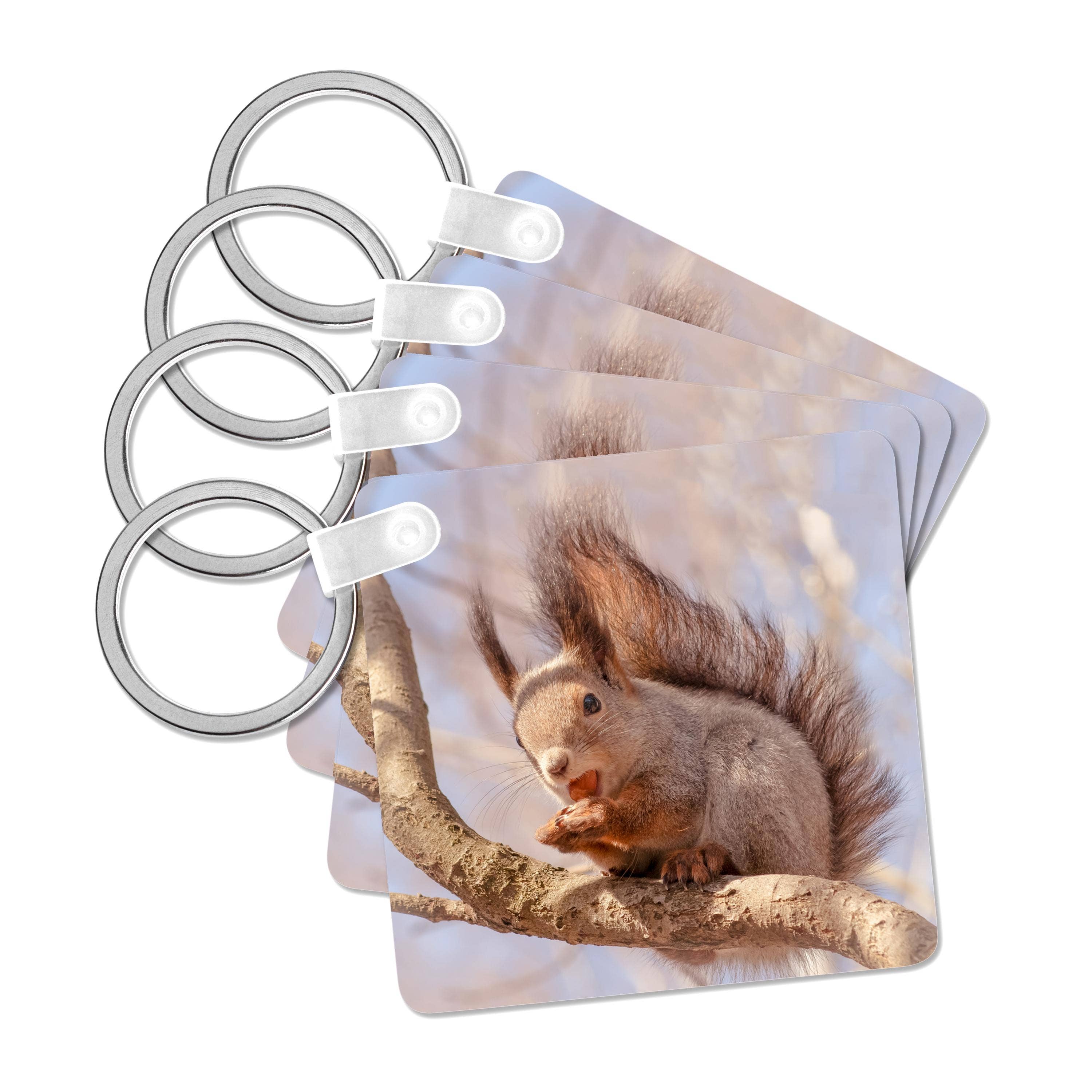 3dRose – wholesale Keychain – Unisex – 3dRose, Funny squirrel sits on a tree branch and eats a hazel nut, Key Chain0