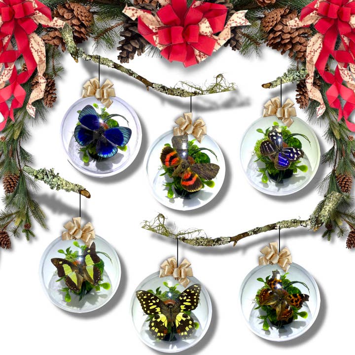 six MEDIUM 4.5 -Inch Holiday Tree Ornaments - Collection  for wholesale by Instar Innovations