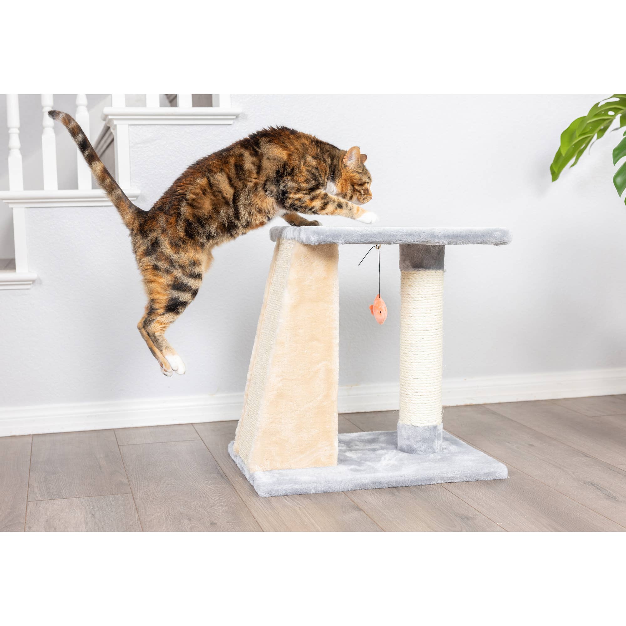 Armarkat - Wholesale Pet Scratcher - Cat - Armarkat  2 Level Platform Scratcher Real Wood Cat Post5