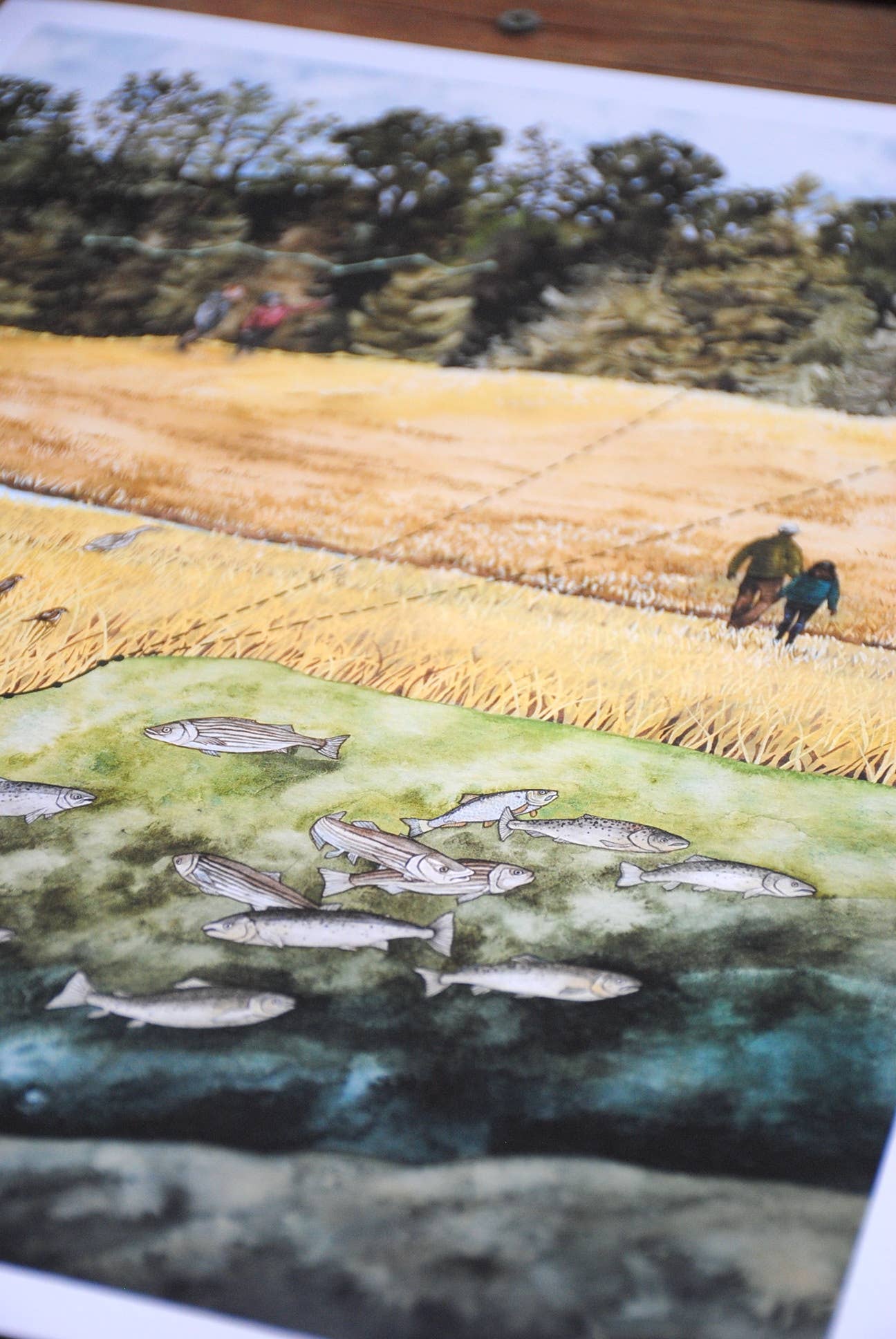 Jill Pelto Art - Wholesale Art Print - Coastal Marsh New England Art Print Set4