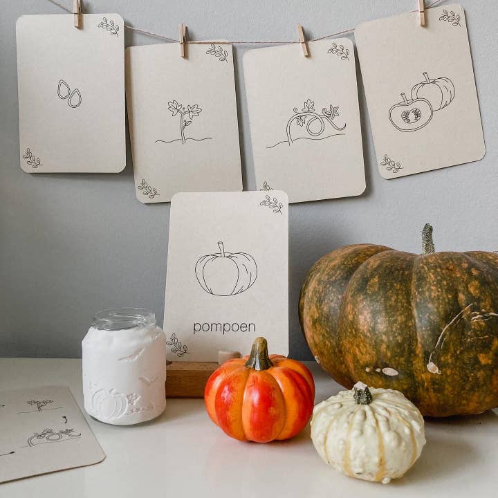 Lifecycle flashcards pompoen/kastanje/eikel/paddestoel voor wholesale door Wildebras