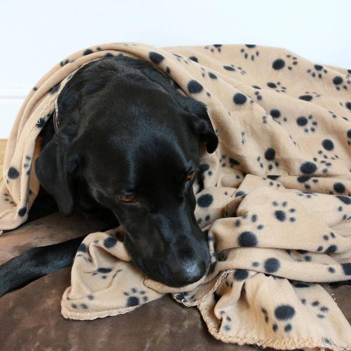 Bunty Pet Products Ltd - Wholesale Pet Blanket - Cat/Dog - Extra Large Soft Cosy Warm Fleece Pet Dog Cat Animal Blanket4
