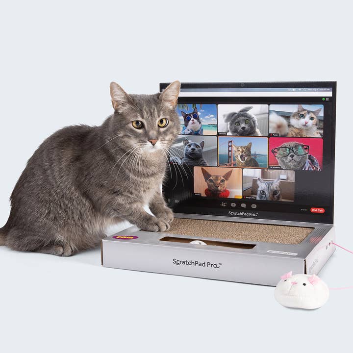 ScratchPad Pro — Cardboard Laptop Cat Scratcher for wholesale by What Do You Meme