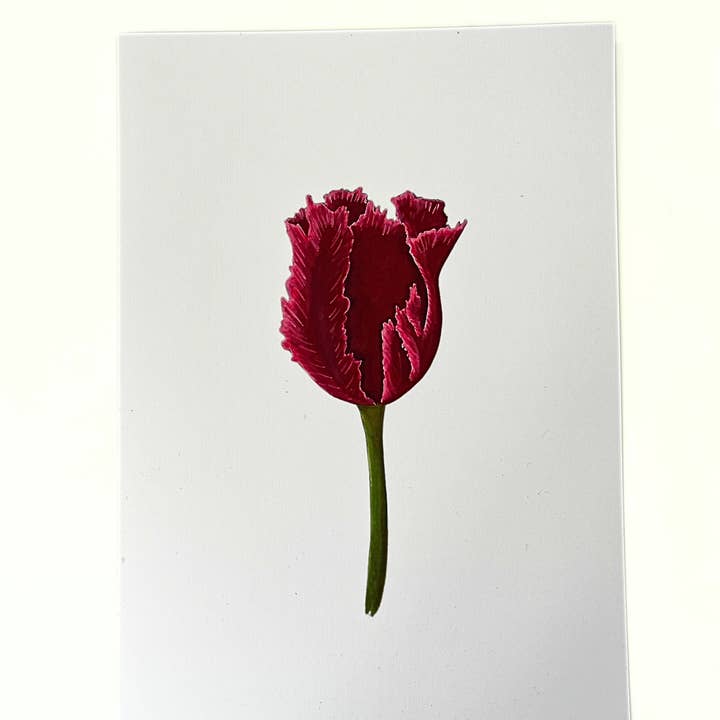 Kunstprint 'Rode tulp' voor wholesale door studio Pronckstuk
