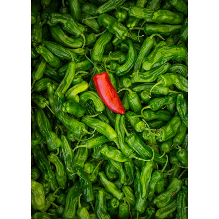 Pepper Pile for wholesale by Laurie Childs Photography