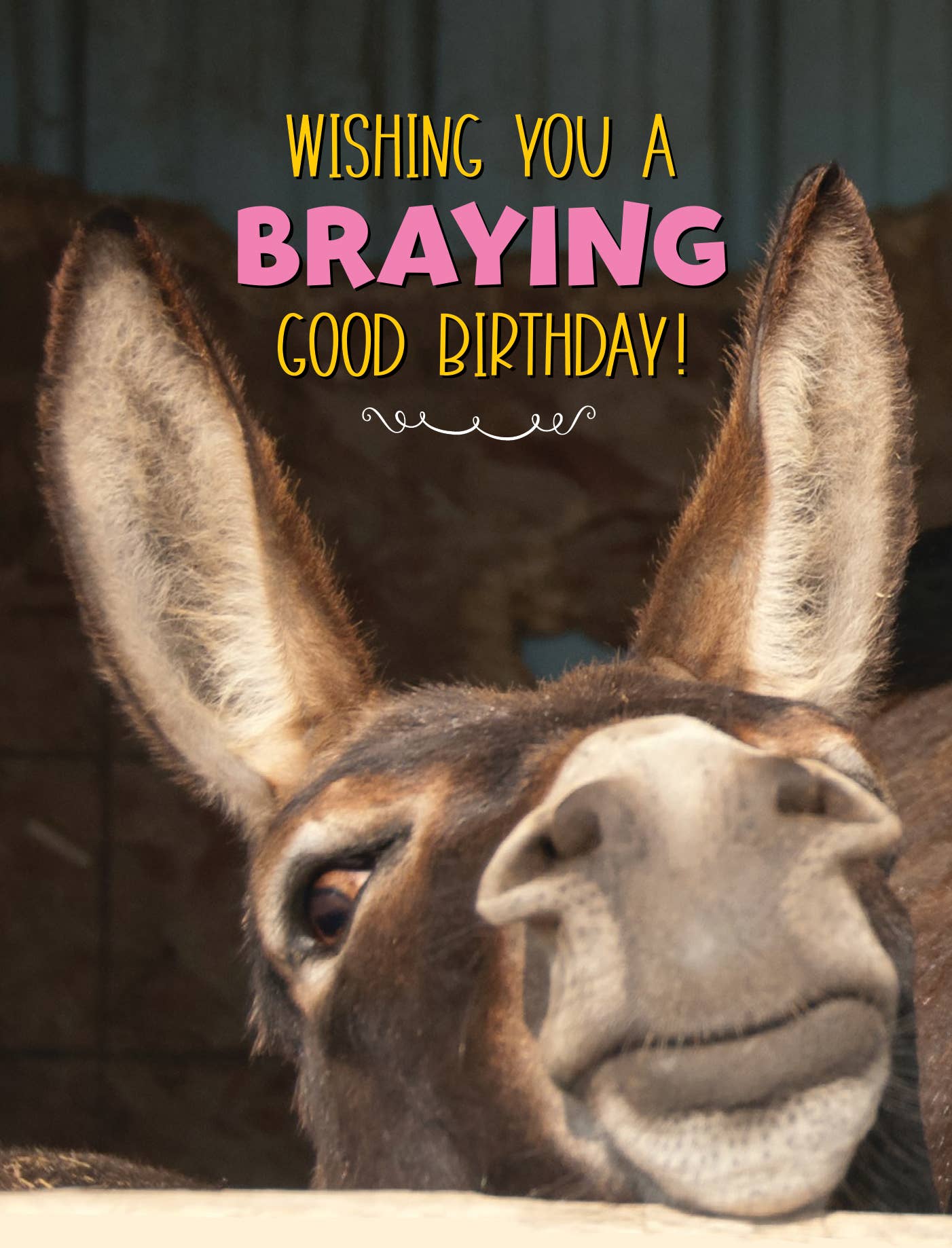 Horse Hollow Press - Wholesale Birthday Card - Donkey Greeting Birthday Card / Braying Good Birthday / Cute6