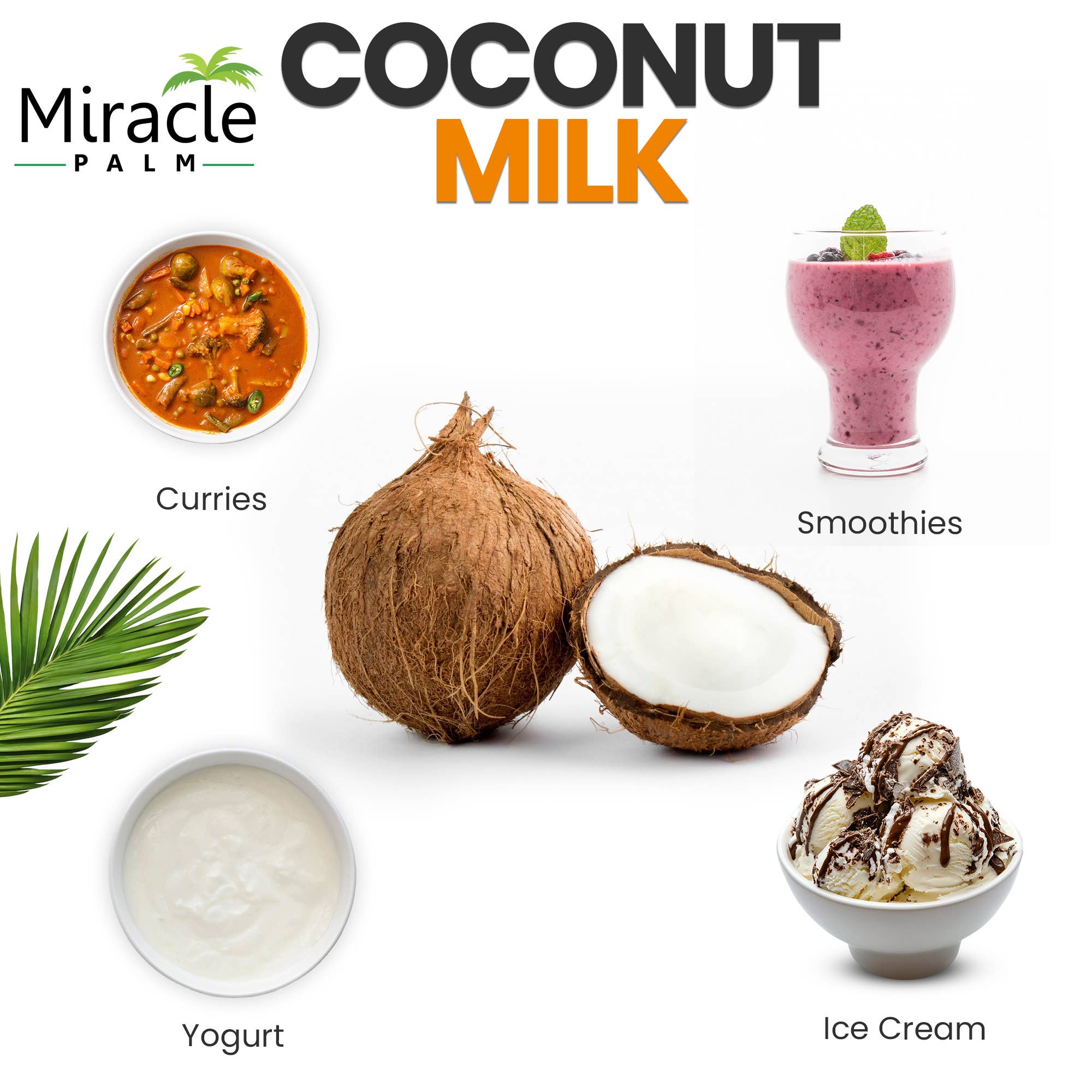 Miracle Palm - Wholesale Non-Dairy Milk - Organic Coconut Milk 18% Fat Unsweetened 13.5 Oz Can 6 pack5