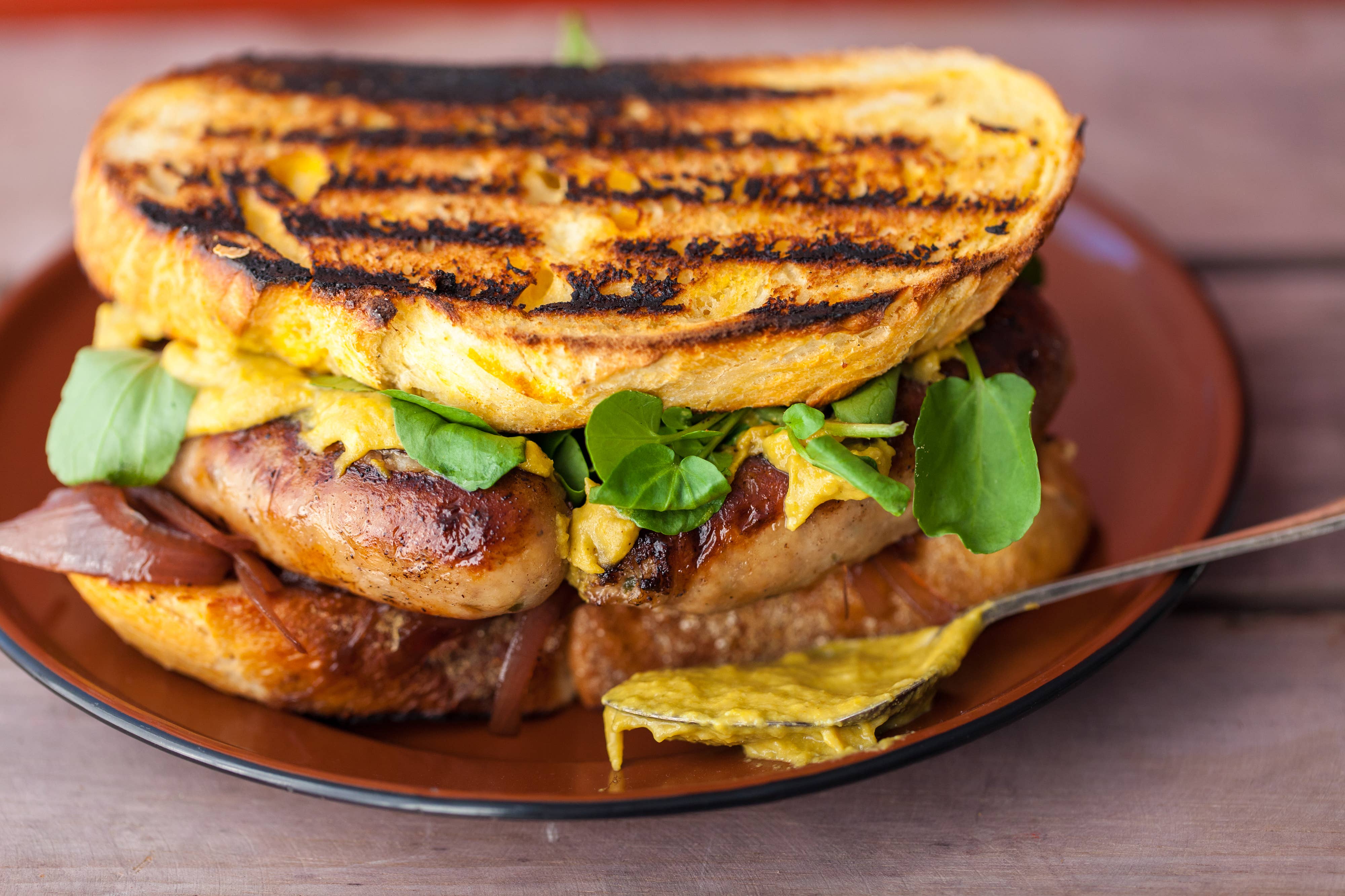 The Wasabi Company - Wholesale Mustard - Wasabi Mustard4