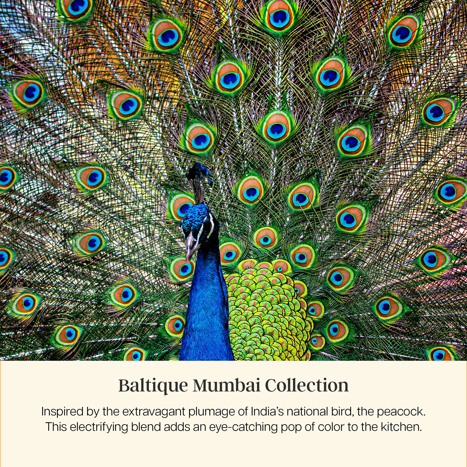 Totally Bamboo – wholesale Kökssked – Baltique® Mumbai Färgglad Träslev, 12,5"7