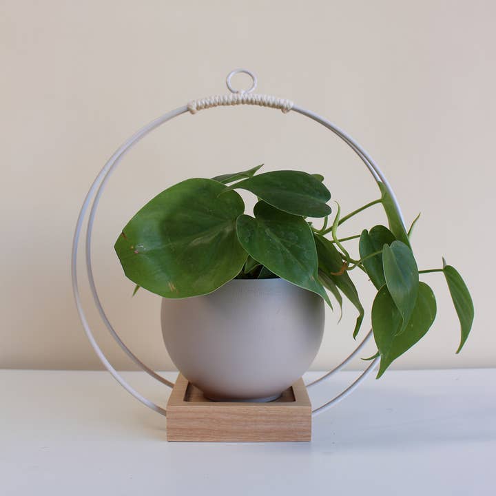 Braid & Wood Design Studio - Venta al por mayor Macetas colgantes - Macetero Colgante Blanco, Colgador de Plantas Moderno (Mediano)