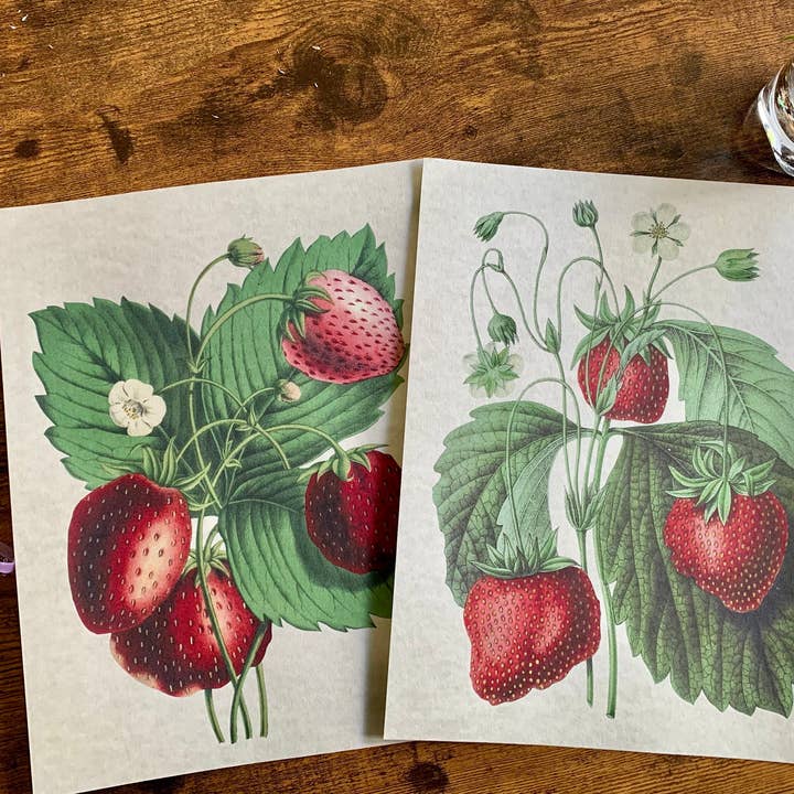 Magnifique Hearts - Wholesale Art Print - Vintage Style Strawberries Art Prints, Wall Decor, 2 Designs5