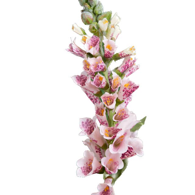 Mezu Silk Flowers - Wholesale Artificial Flowers - Artificial Pink Foxgloves