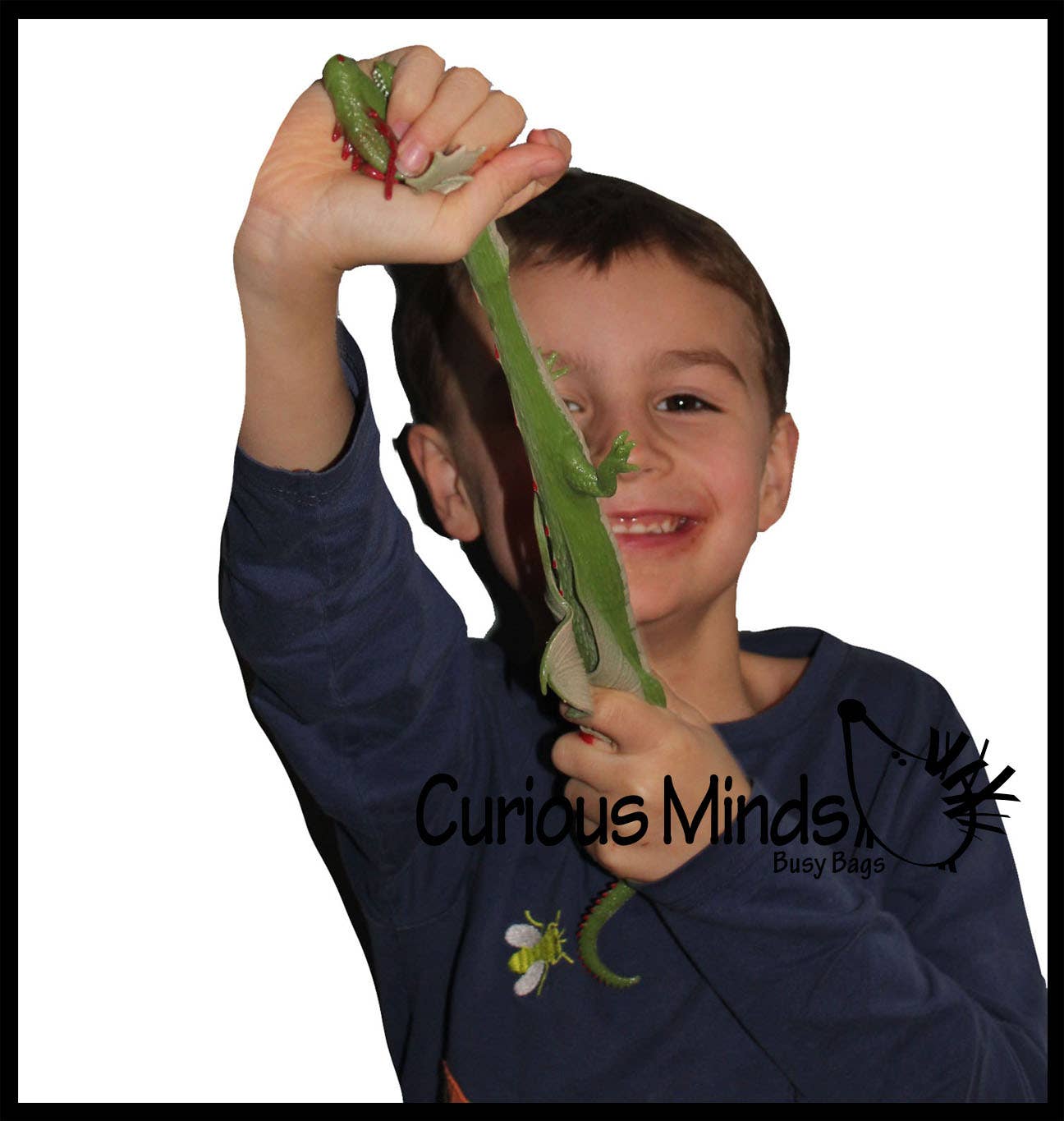 Curious Minds Toys - Wholesale Fidget Toy - Kids - Jumbo Stretchy Dragons - Sensory Fidget Toy9