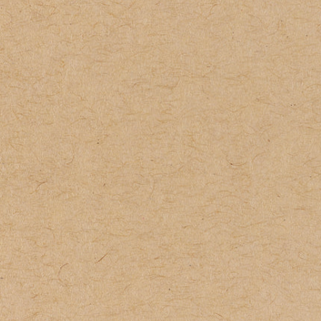 Farm and Finch Creative - Wholesale Everyday Greeting Card - Anna's Hummingbird Card6