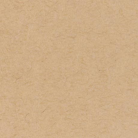 Farm and Finch Creative - Wholesale Everyday Greeting Card - Anna's Hummingbird Card6