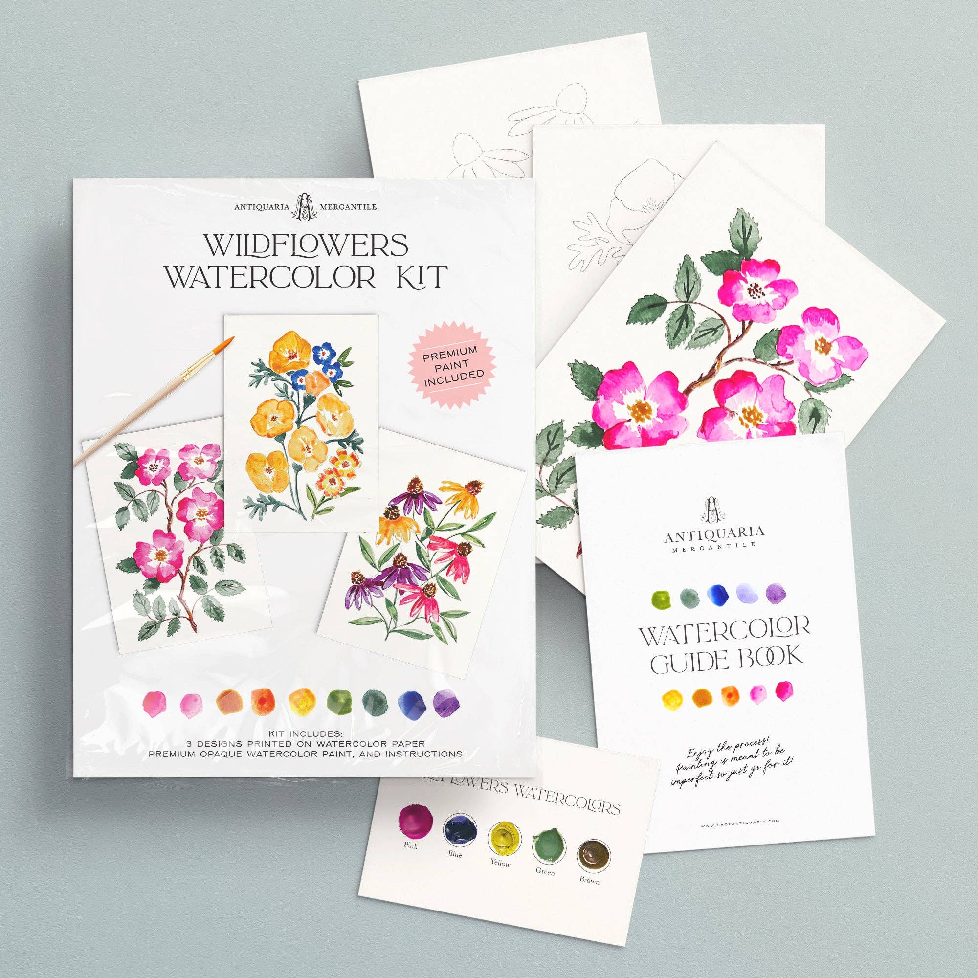 Antiquaria - Wholesale DIY Craft Kit - Watercolor Painting Kit : Wildflowers No12