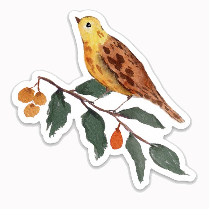Adesivo ad acquerello uccello giallo con bacche per la vendita all'ingrosso da parte di Lucinda Hamilton Watercolor Art