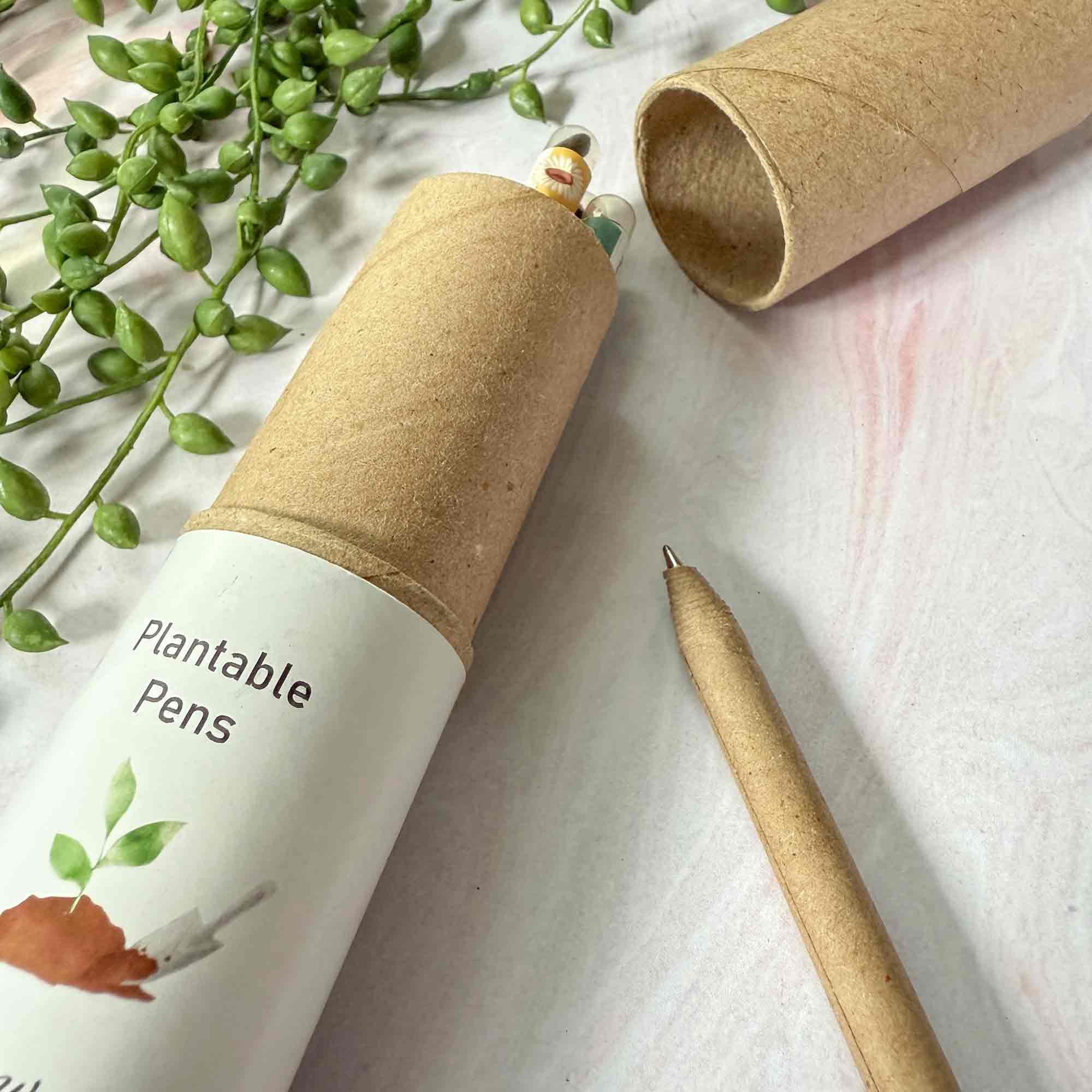 The Natural Paper Company – Großhandel Stift – Pflanzbare Kugelschreiber - Set mit 5 Stück | Röhre aus recycelten Stiften2