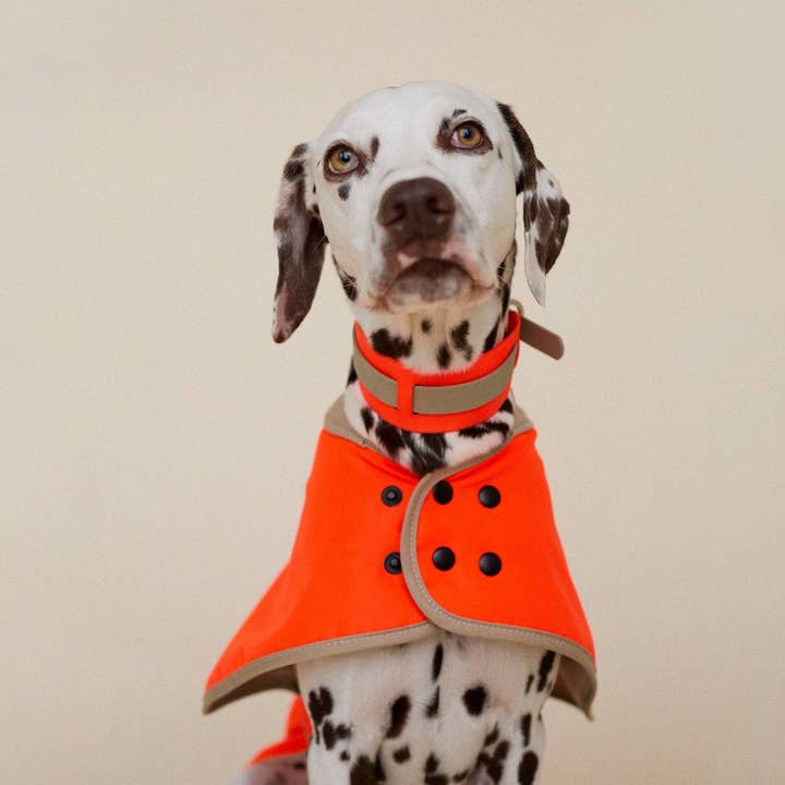 THE GLOW RAINCOAT regular-fit – Wasserdichter Hundemantel in Neonorange für den Großhandel von lumiies - high visibility