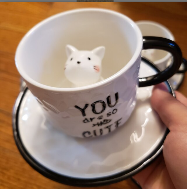 Green Pastures Wholesale - Vendita all'ingrosso Tazza da tè/caffè - Set di 4 tazze da tè in ceramica con gatti e piattini in 4 colori6