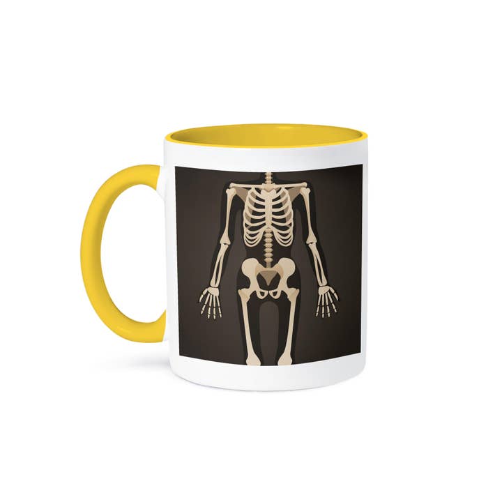 3dRose - Wholesale Coffee Mug - 3dRose, Headless Xray Skeleton, Mug
