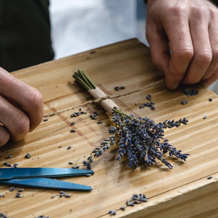 Provence en Couleur - Wholesale Dried/pressed flowers - Small lavender bouquet1