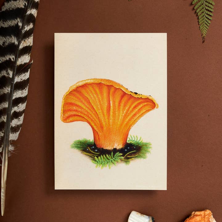 Sword Fern Studios - Wholesale Art Print - Lobster Lushroom Print, Mushroom Art