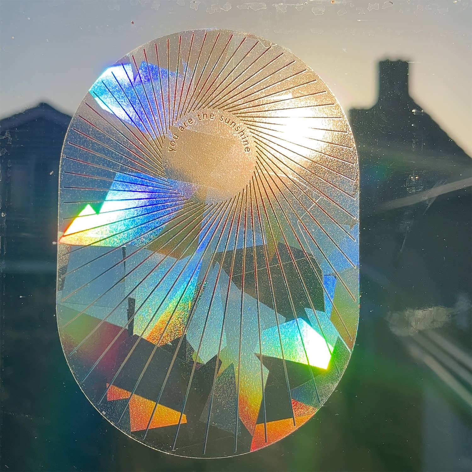 Botanopia - gifts , decor and cards for plant lovers - Wholesale Suncatcher - Rainbow maker sticker - You are the sunshine6