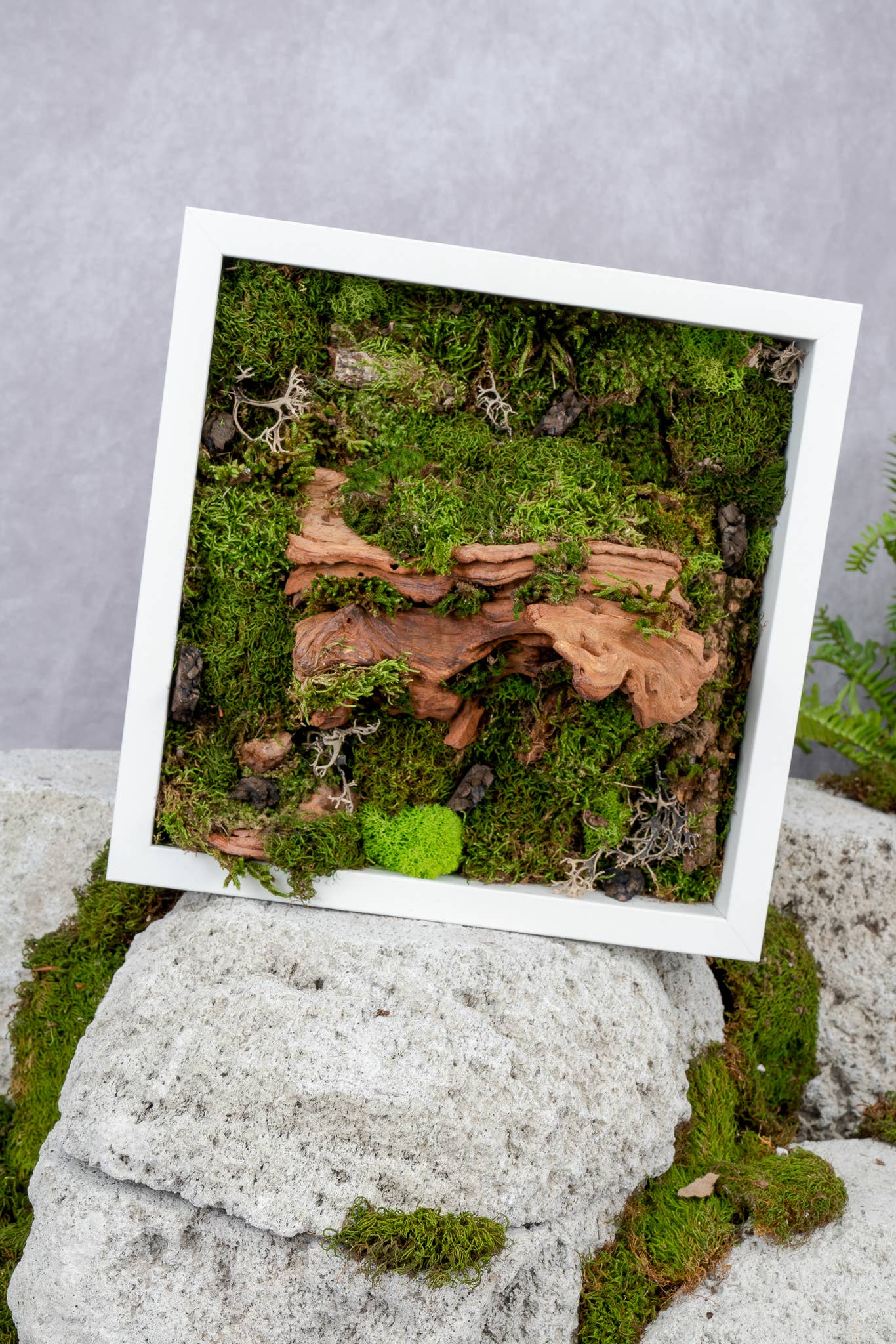 TERRART NYC - Wholesale Wall Planter - Moss Heaven - Moss Wall3