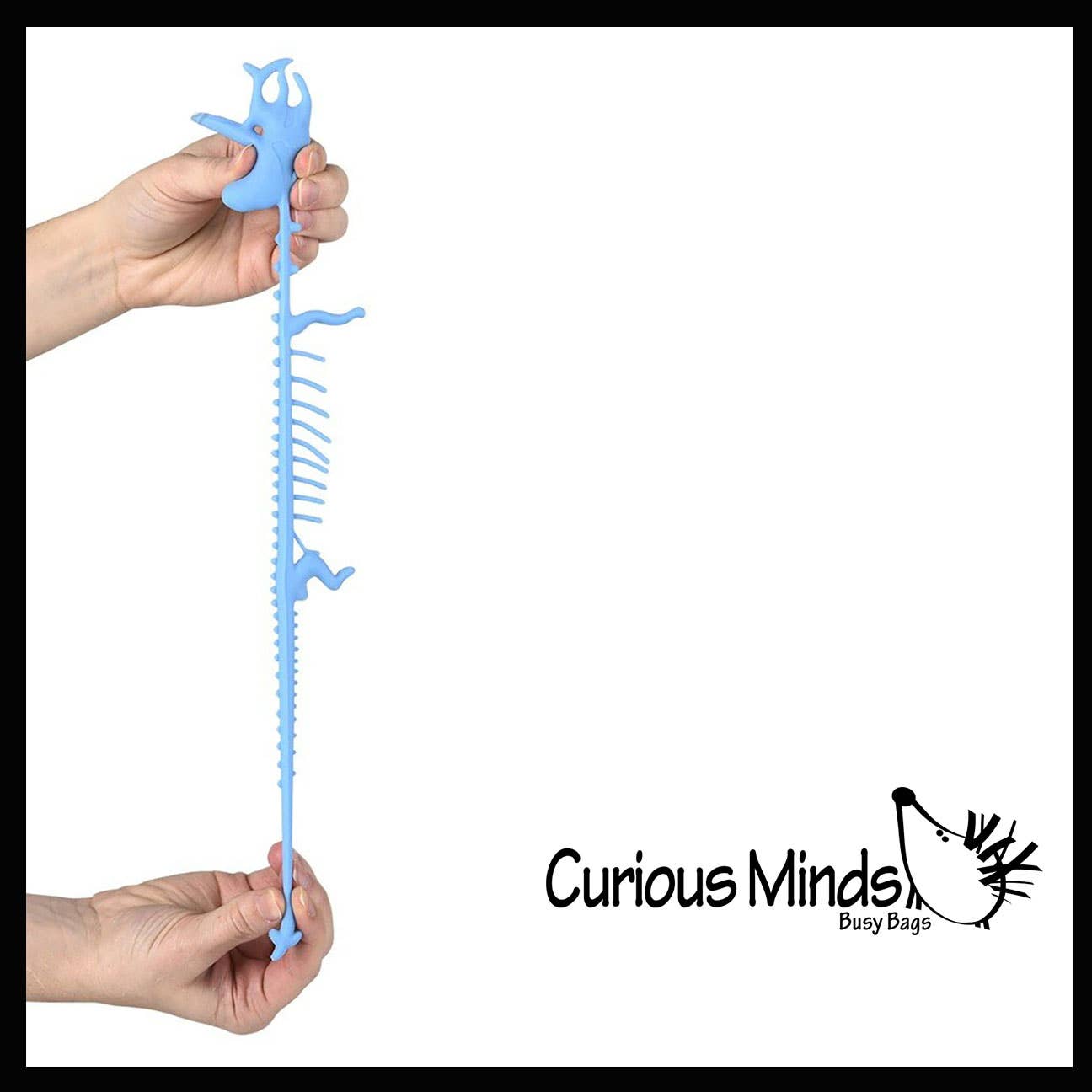 Curious Minds Toys – Großhandel Fidget Toy – Kinder – 1 x dehnbares Nudelband mit Dinosaurierskelett und fossilem Knochen6