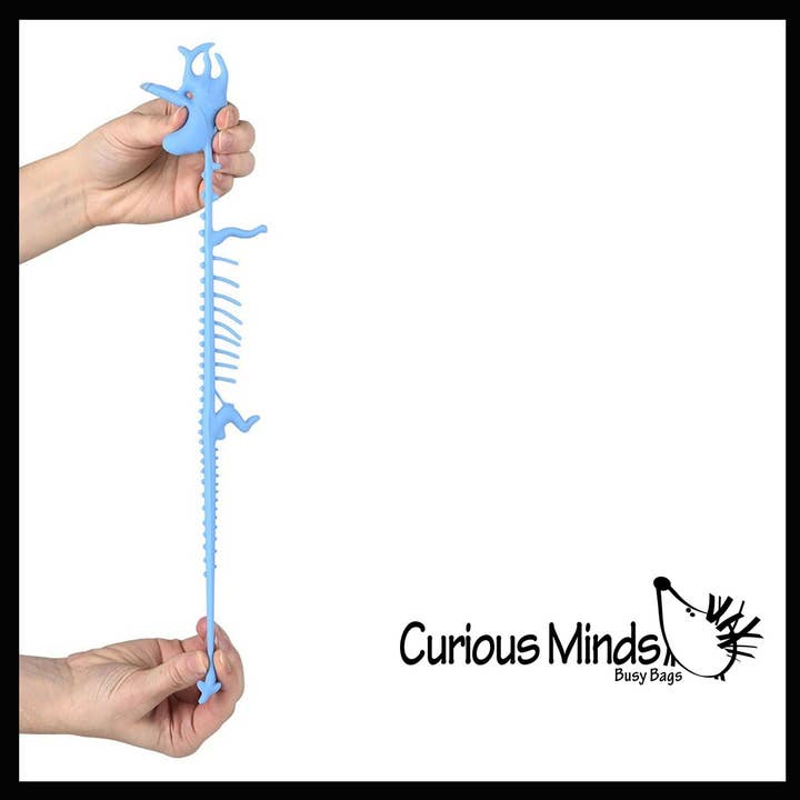 Curious Minds Toys – Großhandel Fidget Toy – Kinder – 1 x dehnbares Nudelband mit Dinosaurierskelett und fossilem Knochen6