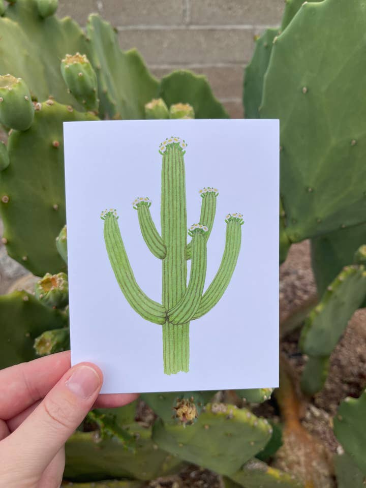 Blooming Saguaro Greeting Card for wholesale by Brushes and Boots