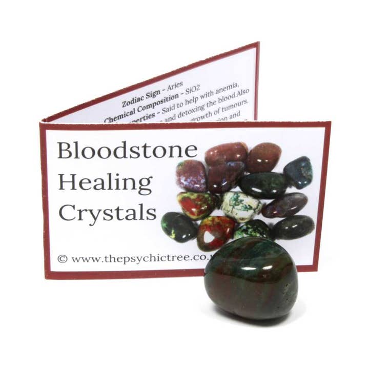Bloodstone Crystal & Guide Pack for wholesale by The Psychic Tree