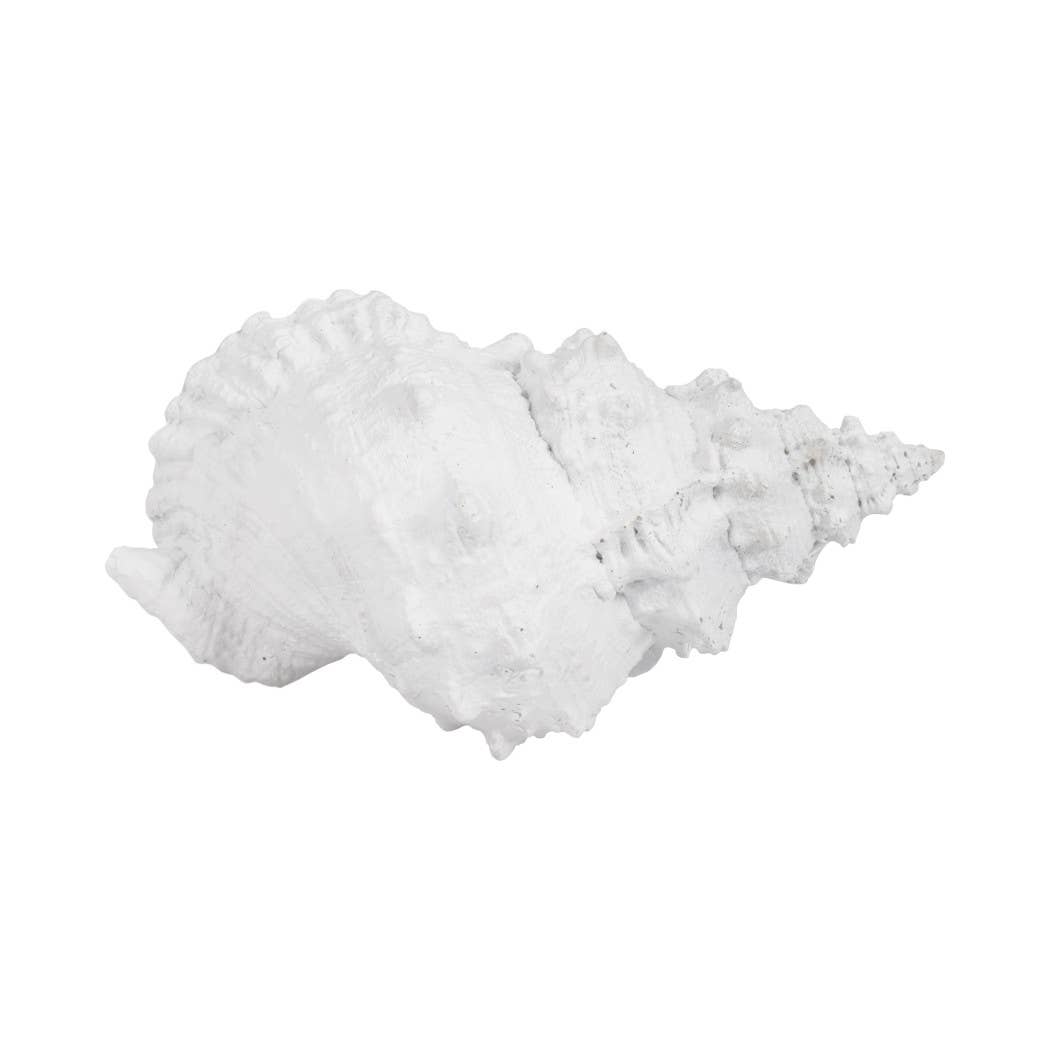 Sagebrook Home - Wholesale Decorative Figurine - Figurine - White Resin Coastal Solid Conch Shell, 10 in.10