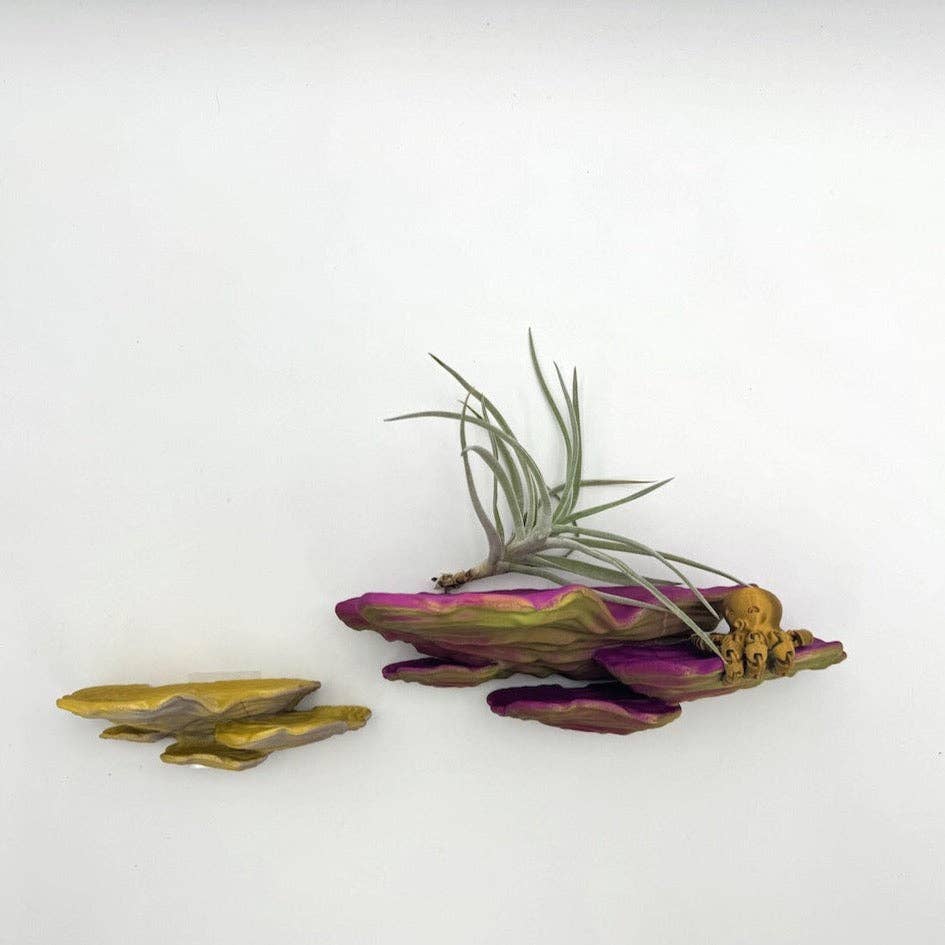 Brehmwood Creative - Wholesale Wall Mounted Shelf - Shimmering Ostrea Floating Shelf - Unique Fungus Design in 6 Colors, Perfect Home Decor2