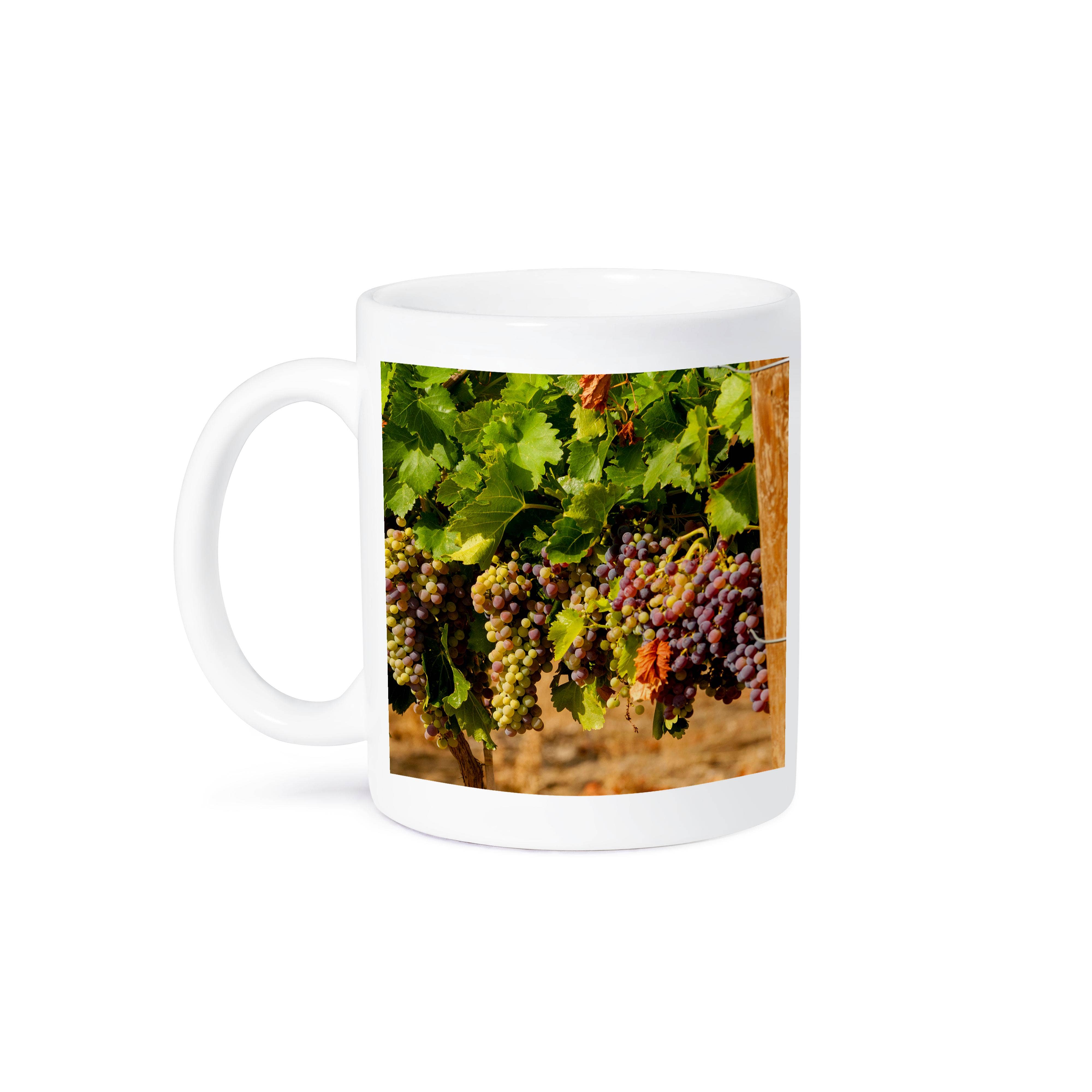 3dRose - Wholesale Coffee Mug - 3dRose, Usa, Washington, Yakima Valley. Wine grapes in veraison., Mug8