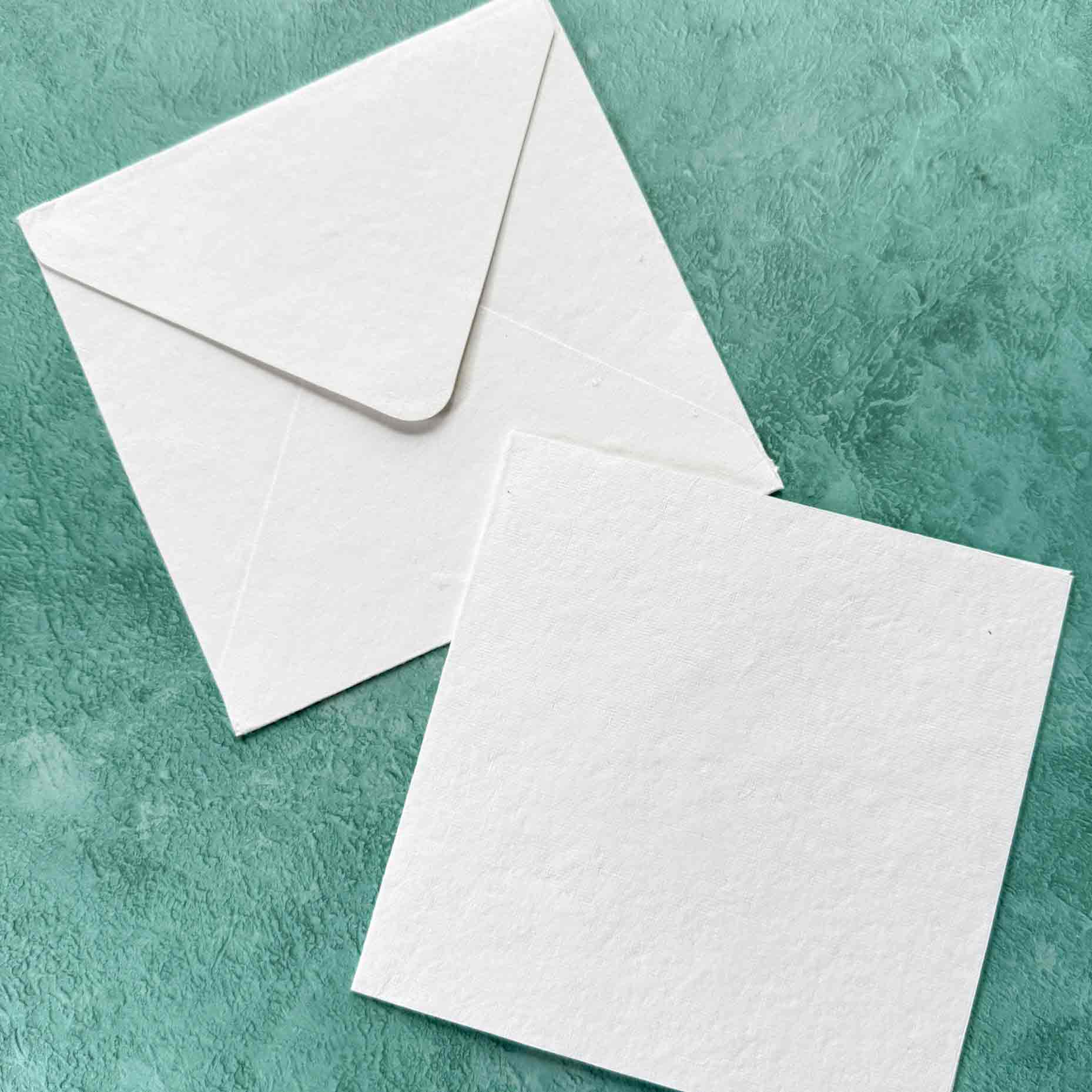 The Natural Paper Company - Vendita all'ingrosso Set di cartoleria/cancelleria - Carte e buste in cotone fatto a mano - Set di 55