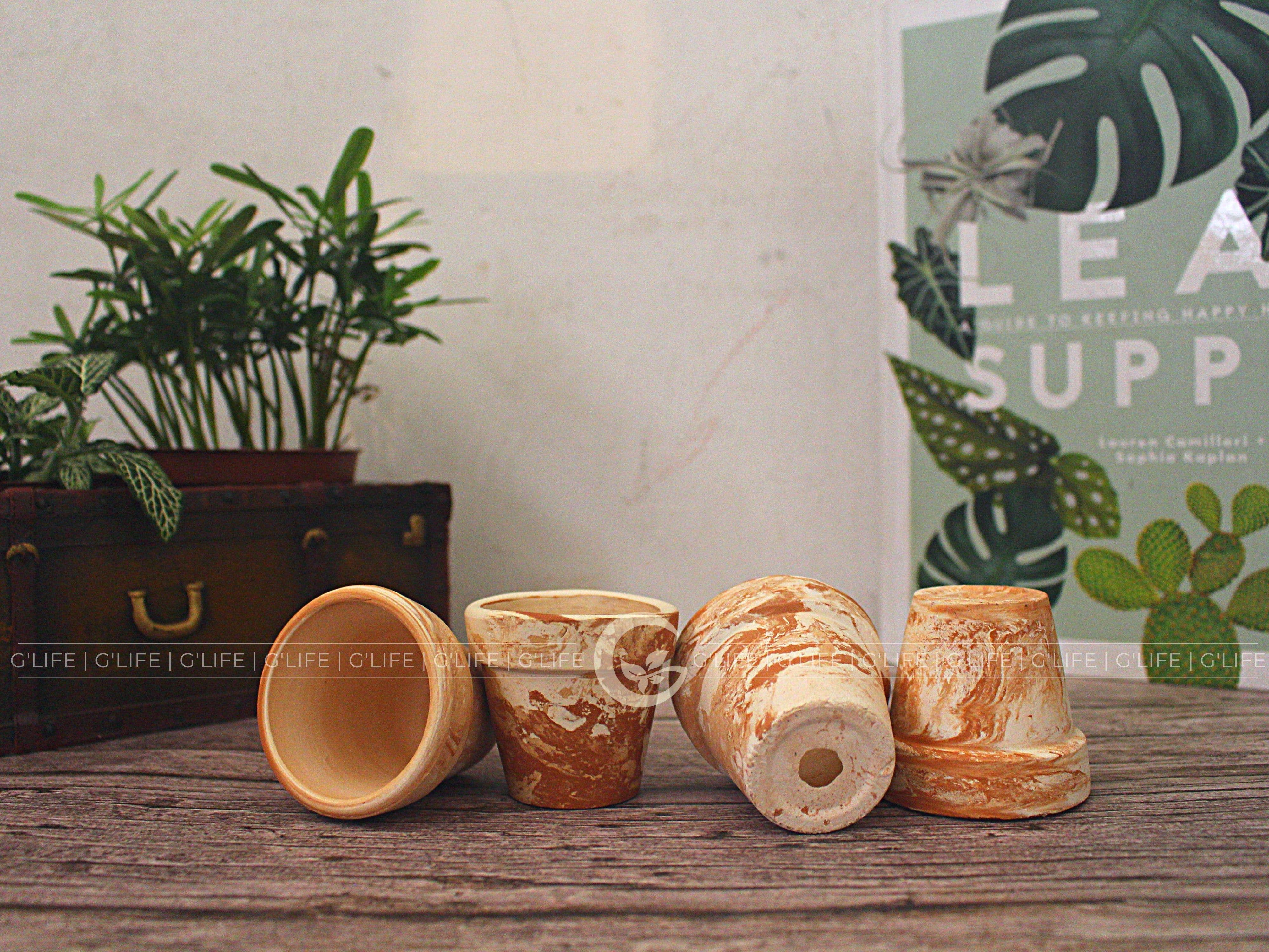 GLifee - Wholesale Plant Pot - 2" Tiny Terracotta Clay Plant Flower Pot - Drainage Hole24