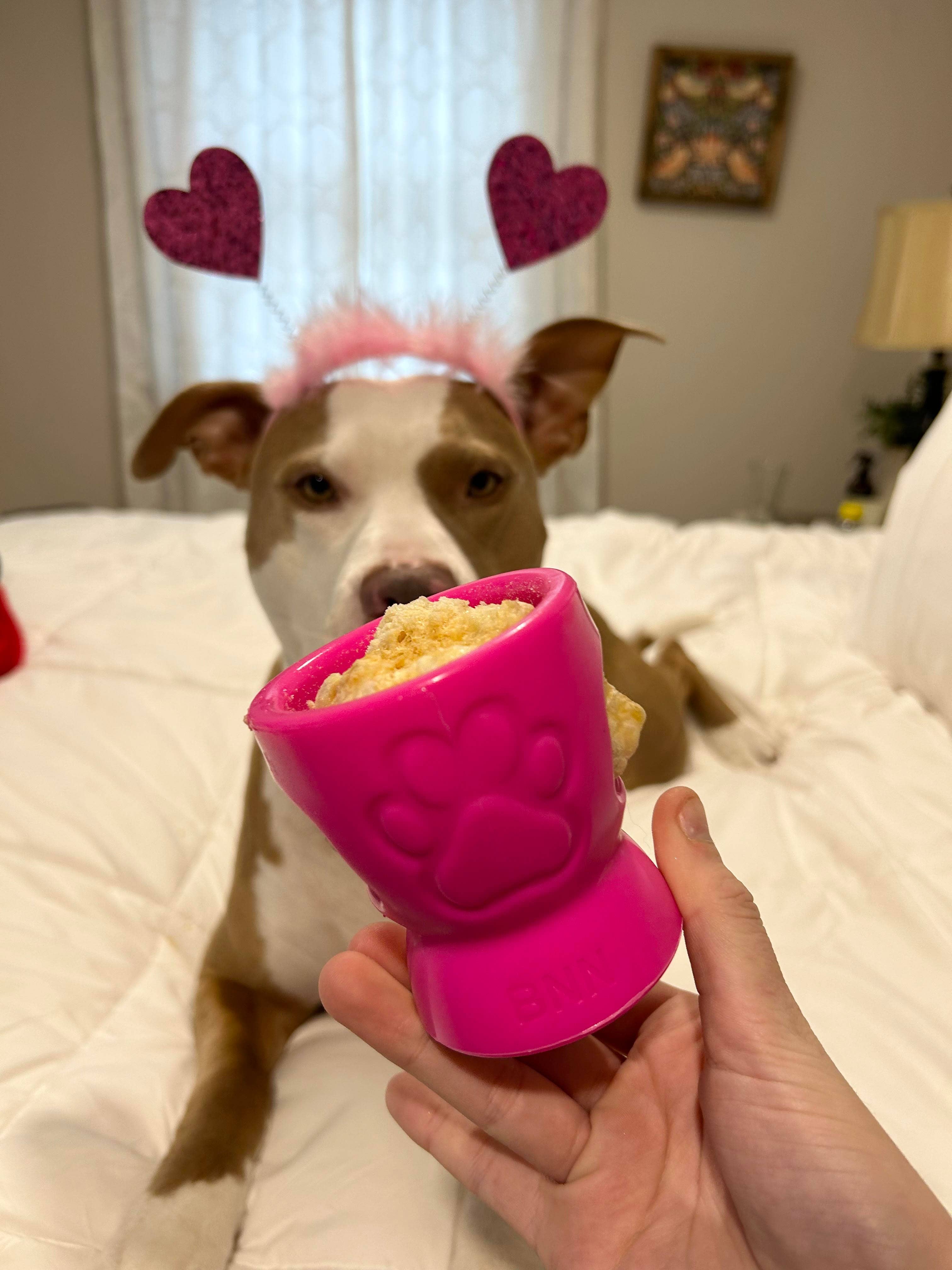 Durkha Dog Chew - Wholesale Pet Chew Toy - Dog - Durkha Puff & Fetch Toy - Microwaveable Yak Cheese Toy5