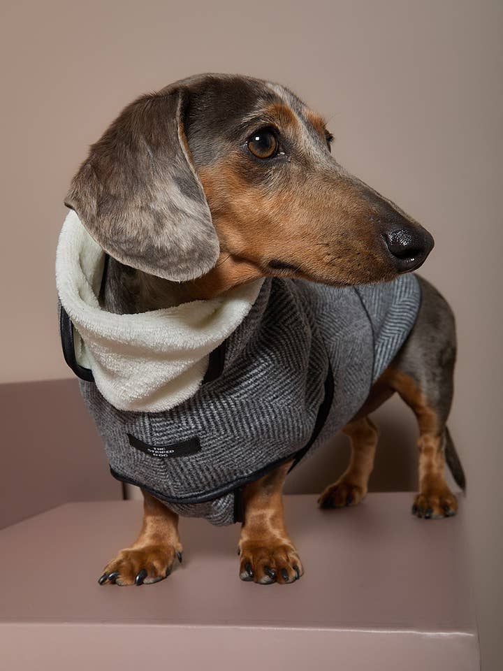 Dackel Graues Fischgrätenmuster Jacke TWILL für den Großhandel von The Striped Dog