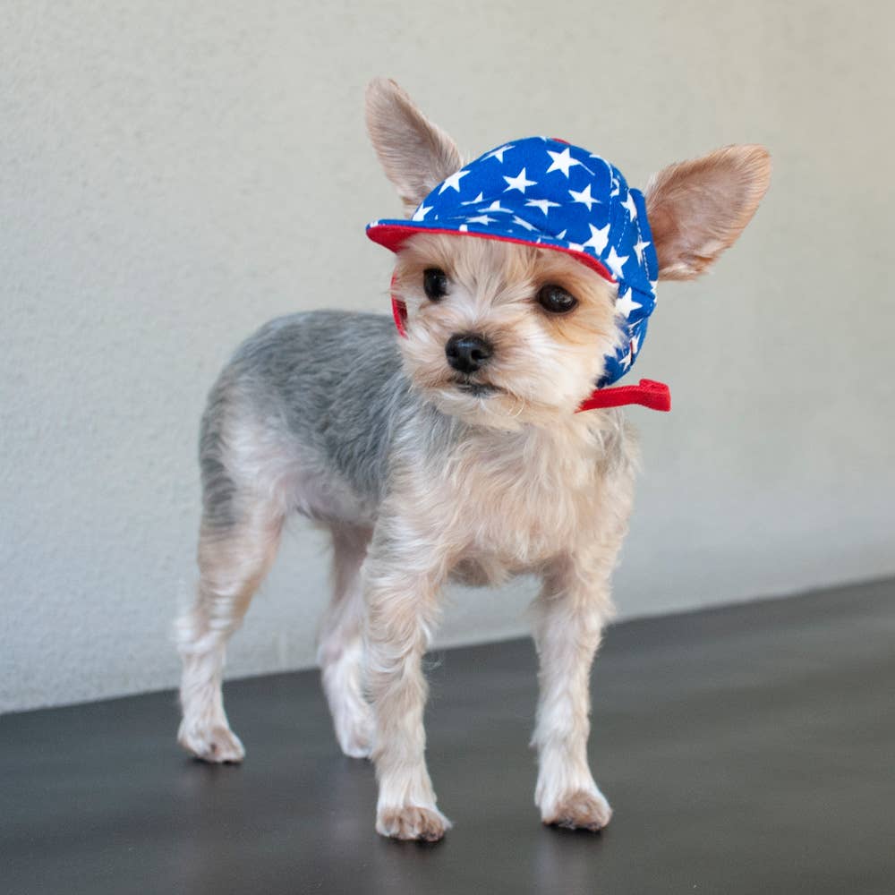 Dogo Pet - Wholesale Pet Hat - Dog - Star Hat9